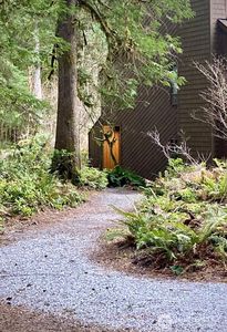 10500 Mount Baker Highway #307