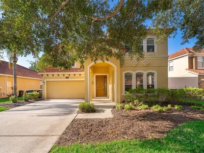 385 Orange Cosmos Blvd