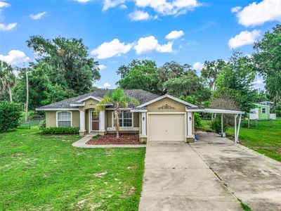 1195 County Road 441