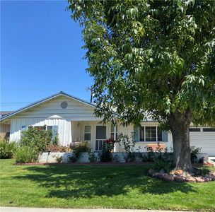 2726 Castle Rock Rd