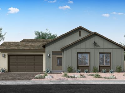 Cholla Plan 5541 Plan, Blossom Rock