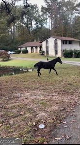 331 Belair Dr