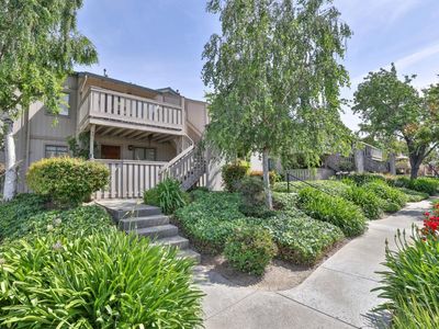 480 Coyote Creek Cir