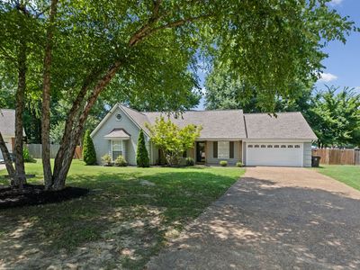 779 Dogwood Cv