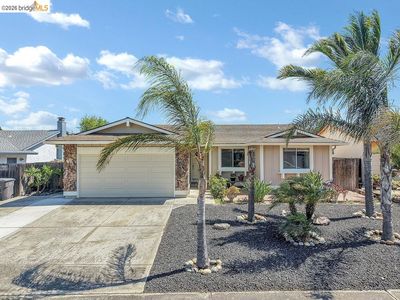 979 Walnut Dr