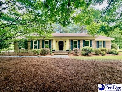 217 Loring Dr