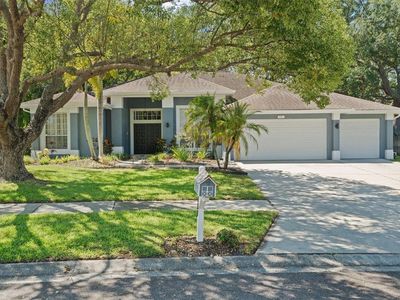 Property at 751 House Wren Cir, Palm Harbor, FL