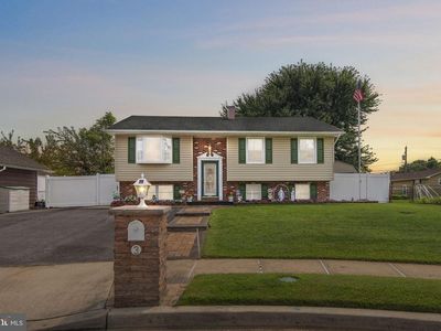3 Polo Ct
