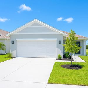 Cypress Plan, Broadleaf