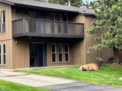 Property at 1141 Fairway Club Cir #C-3, Estes Park, CO