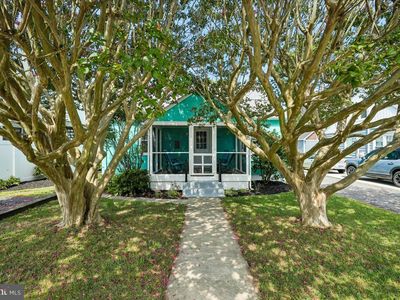 38417 George St