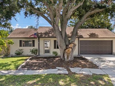 1310 Mandarin Dr