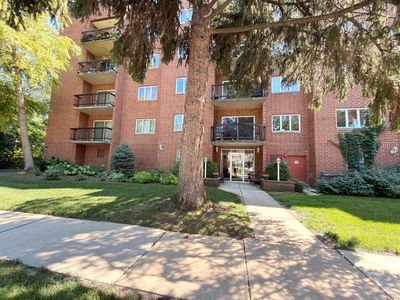 1653 River St APT 306