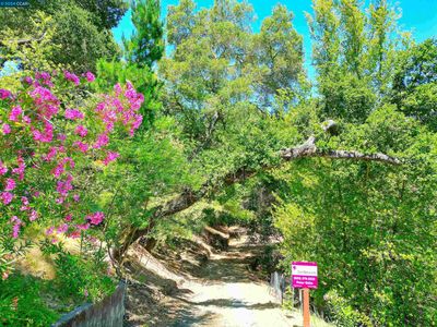 Property at 38 Oakridge Ln, Orinda, CA