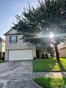 11027 Bauer Elm St