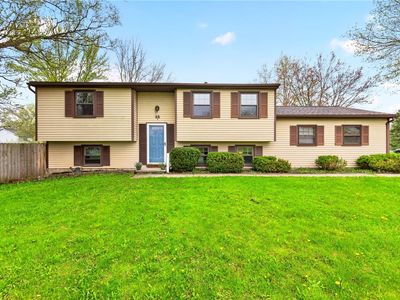 55 Blue Ridge Trl