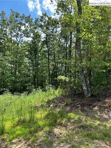 Property at 6 Reynolds Parkway, Ferguson, NC