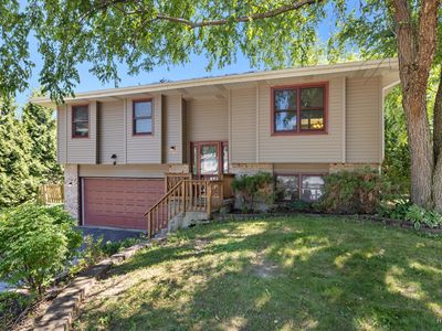 558 Barbary Ln