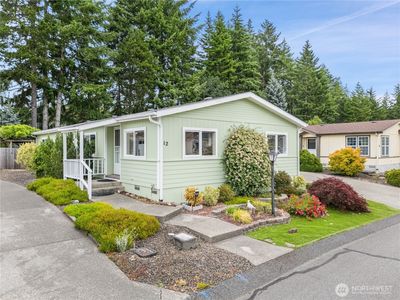 12 Christmas Tree Lane