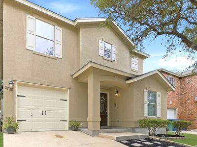 2326 Boxer Palm