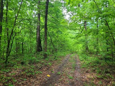 690 Adams Cemetery Rd