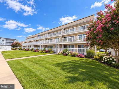 510 Penguin Dr #301B