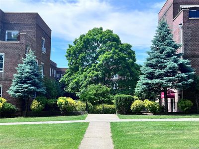 141-13 Union Turnpike #1N