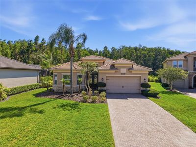30852 Spruceberry Ct
