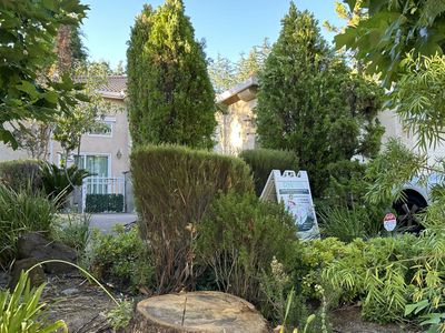 484 Caldarella Cir