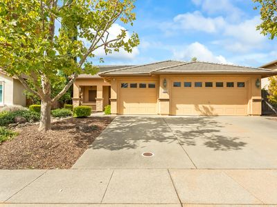1033 Halidon Way