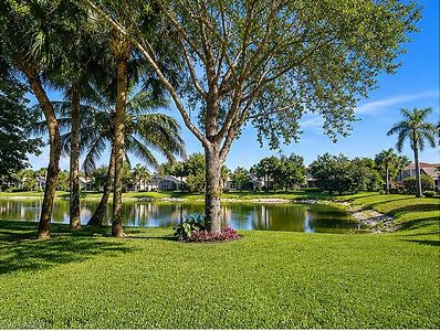 1654 Triangle Palm TER