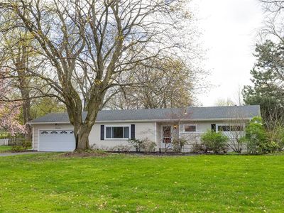17 Butternut Dr