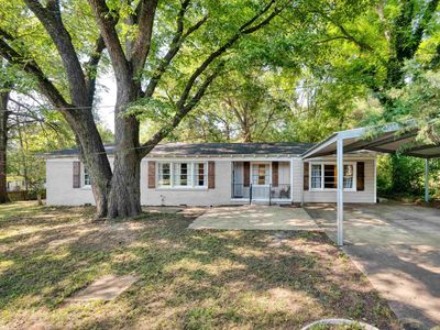 11658 County Road 215