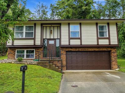 7 Birch Dr