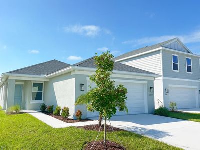 Cassia Plan, Broadleaf