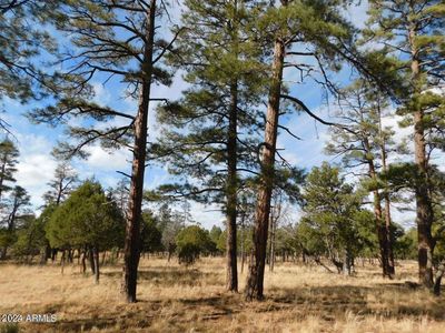 Property at 4560 Durango Dr, Happy Jack, AZ