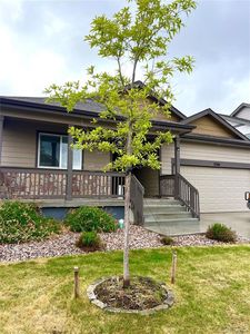2366 Blissful Lane