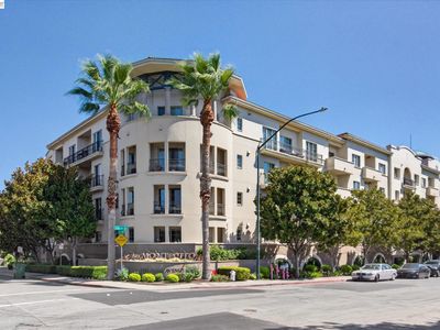 1315 Alma Ave APT 311