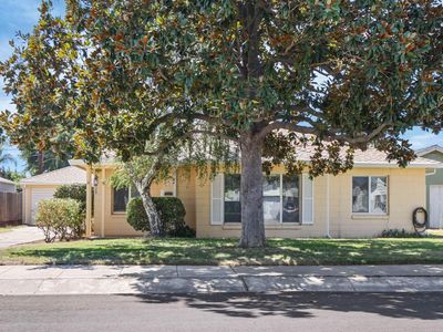 520 Tamarack Dr