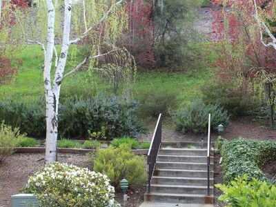 1405 Ptarmigan Dr APT 2
