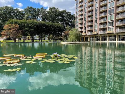 520 N St SW APT S317