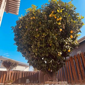 Property at 27250 Murrieta Rd Space 364, Menifee, CA