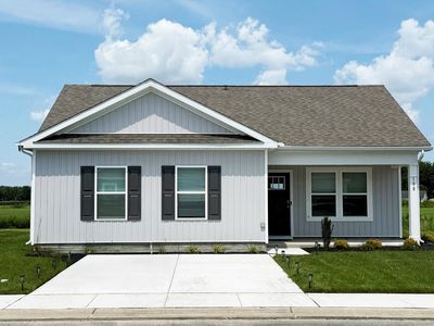1289 Purple Orchid Loop
