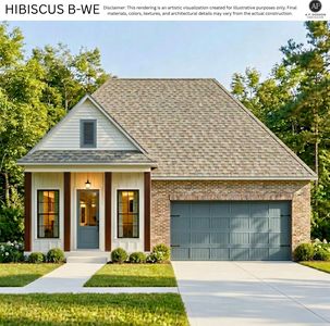 Hibiscus B-WE Plan, Water's Edge