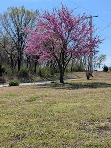 12110 S 225 East Ave