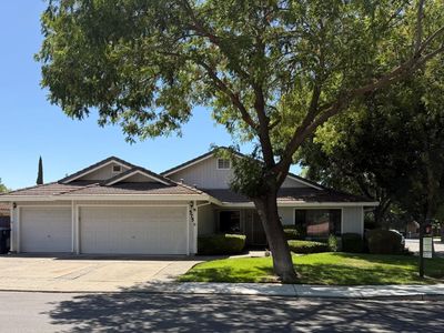 575 Amberina Dr