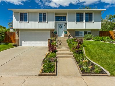 6044 S Sweet Basil S