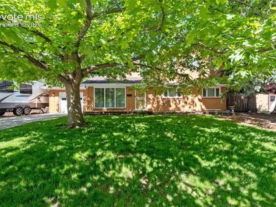 1529 Hollyhock Dr