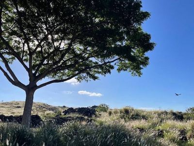 73-1101 Nuuanu Pl UNIT D204