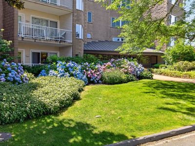 1 Belmont Rd #315